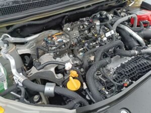 Dacia Sandero Stepway bi-fuel